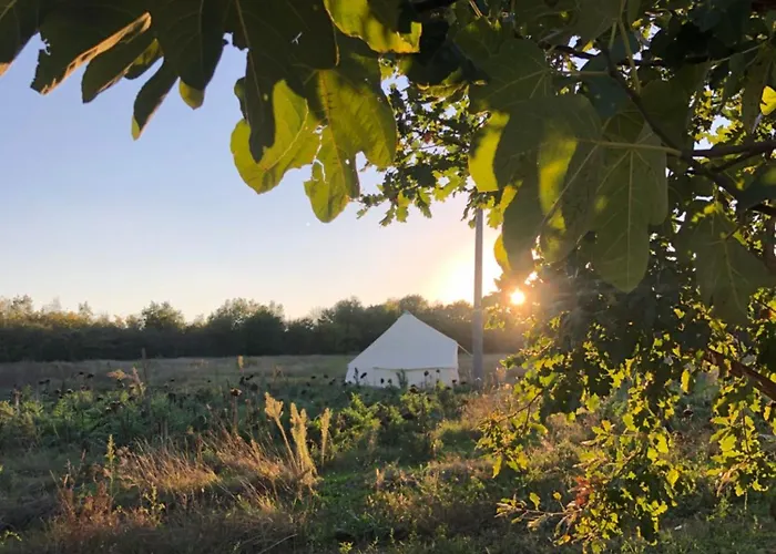 Bed and Breakfast La Siba Experience Forlì